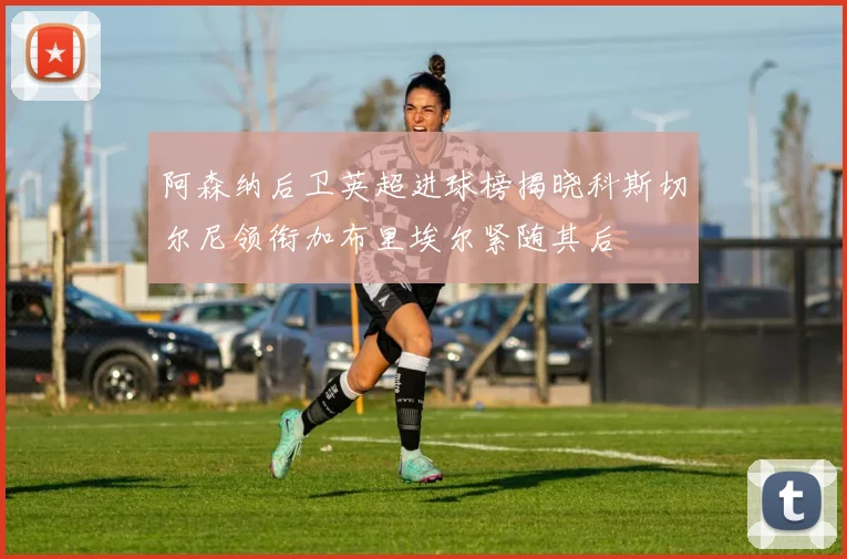 阿森纳后卫英超进球榜揭晓科斯切尔尼领衔加布里埃尔紧随其后