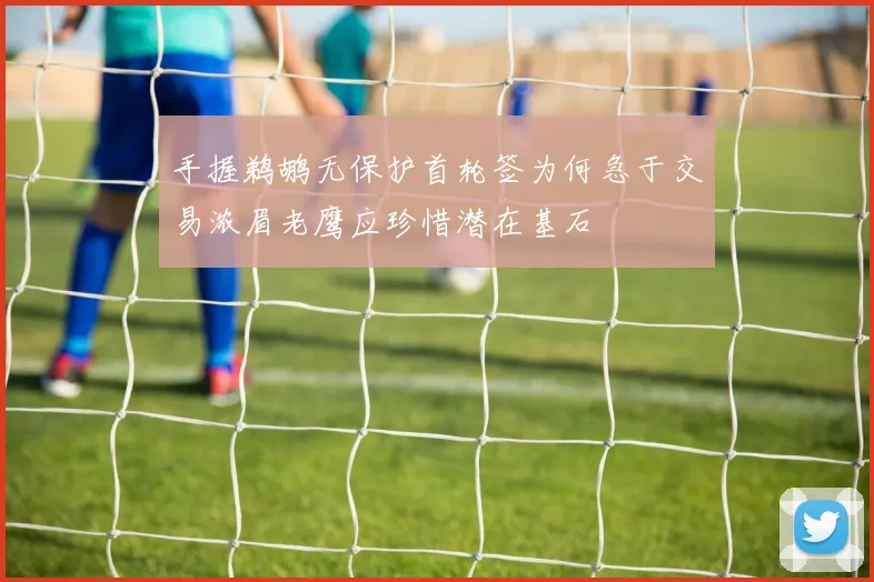 手握鹈鹕无保护首轮签为何急于交易浓眉老鹰应珍惜潜在基石