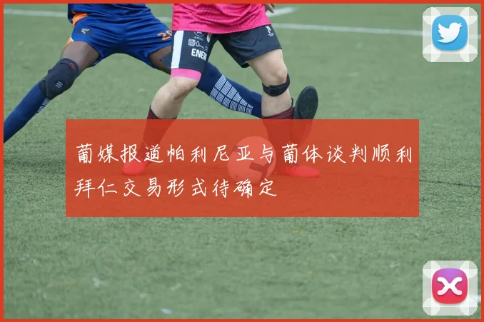 葡媒报道帕利尼亚与葡体谈判顺利拜仁交易形式待确定