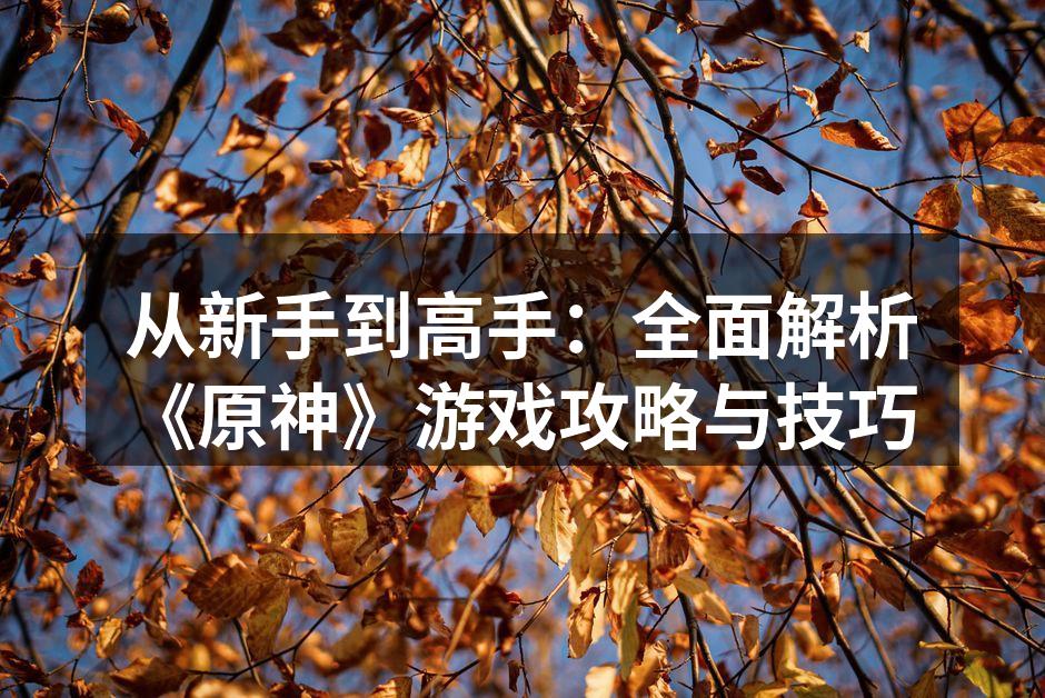 从新手到高手：全面解析《原神》游戏攻略与技巧